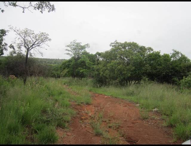 FARM FOR SALE IN HAAKDOORNBOOM AH